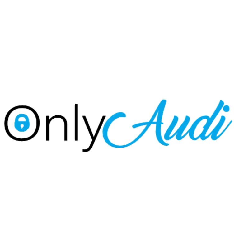 OnlyAudi Dekal - 20cm, Silver