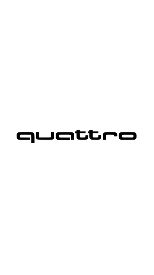 Quattro Dekal - 30cm, Silver