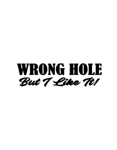 WRONG HOLE But I Like It! Dekal