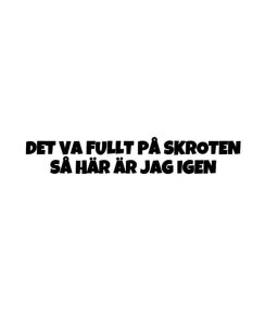Det va fullt på skroten så här är jag igen Dekal