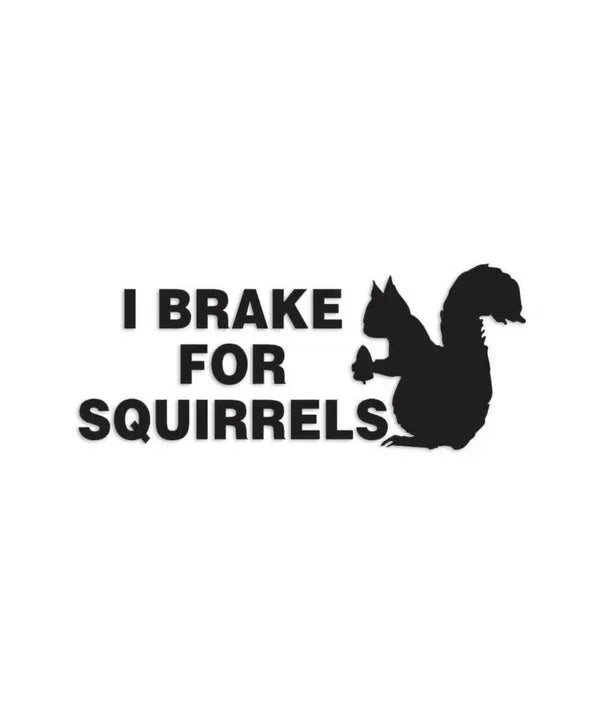 I Brake For Squirrels Dekal